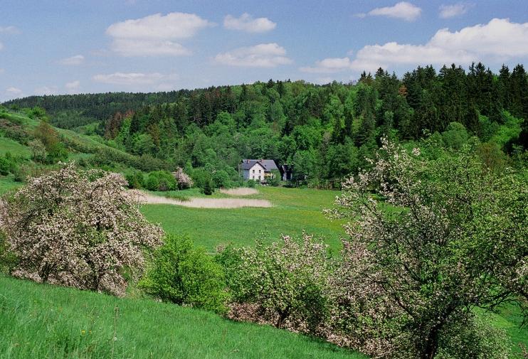 Petrovicky Mlyn Hotel Kasanice Kültér fotó
